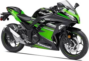 Kawasaki Ninja 300 KRT Image