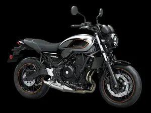 Kawasaki Z650RS Metallic Moonlight Gray