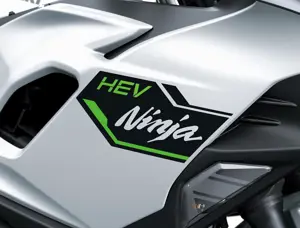 Kawasaki Ninja