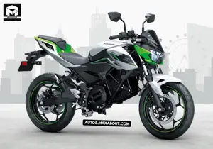 Kawasaki Z E-1 Image