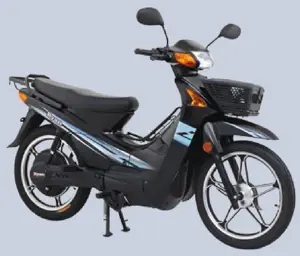 Palatino Electric Scooter