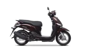 Yamaha Delight Magnetic Bronze