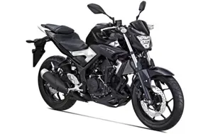 Yamaha MT-25 Black Strike