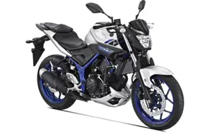 Yamaha MT-25 Silver Blue