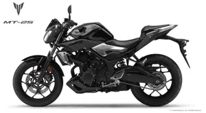 Yamaha MT-25