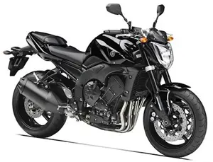 Yamaha FZ1 (1000cc Model)