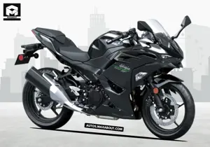 Kawasaki Ninja 500 Image