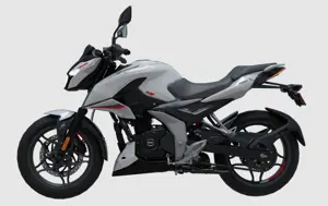 Bajaj Pulsar N160 2-Channel ABS