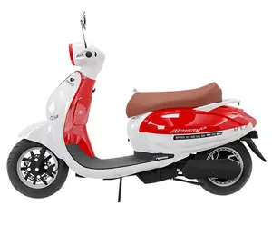 Sokudo Electric Scooter