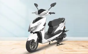 Zelio Electric Scooter