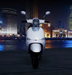 Avera Electric Scooter