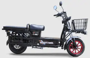 Enigma Electric Scooter