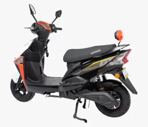 Hayasa Electric Scooter