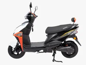 Hayasa Electric Scooter