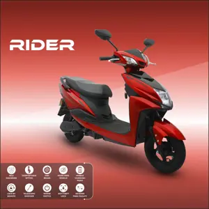 Herald Electric Scooter