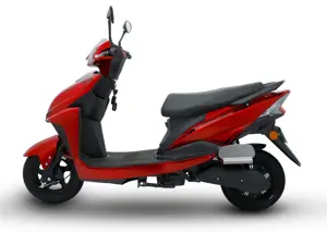 Herald Electric Scooter