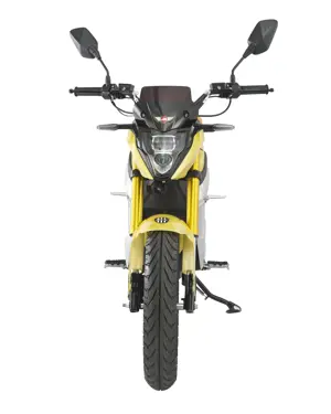 JHEV Electric Bike