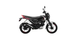 Bajaj Freedom 125 NG04 Drum EBONY BLACK