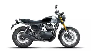 Royal Enfield Bear 650 Golden Shadow