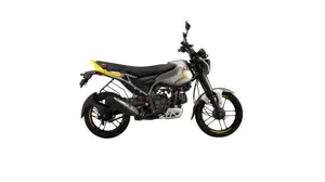 Bajaj Freedom 125 NG04 Drum PEWTER GREY