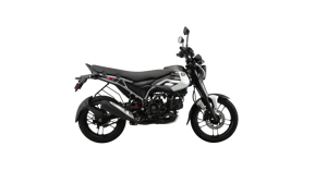 Bajaj Freedom 125 NG04 Disc PEWTER GREY