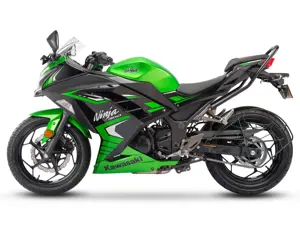 Kawasaki Ninja 300 Candy Lime Green