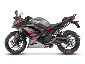 Kawasaki Ninja 300 Metallic Moondust Gray