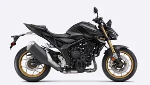 Honda Hornet