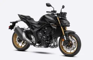 Honda Hornet