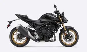 Honda Hornet