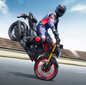 TVS Apache RTR 200 4V Image