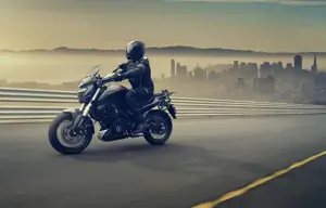 Bajaj Dominar 400 Image