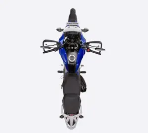 Suzuki V-Strom SX 250