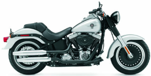 Harley Davidson Fat Boy Special Image