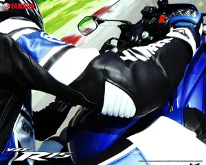 Yamaha R15
