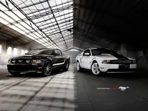 Mustang