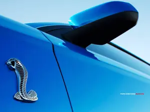 Mustang