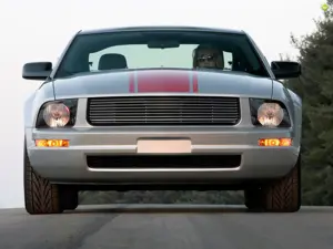 Mustang