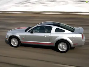 Mustang