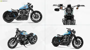 Shaw Speed & Custom Sportster