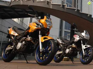 Pegaso 650