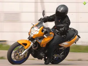 Pegaso 650