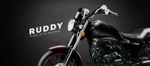 Eider Ruddy 150