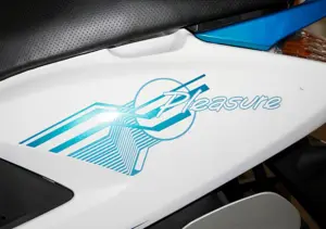2014 Hero Pleasure Special Edition