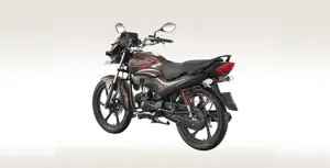 2015 Hero Passion PRO