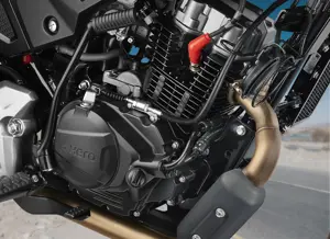 Hero XPulse 200T
