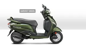 Maestro Side View 'Green'