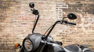 Indian Chief Dark Horse