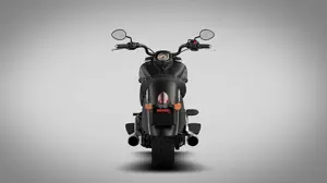 Indian Chief Dark Horse
