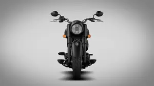 Indian Chief Dark Horse